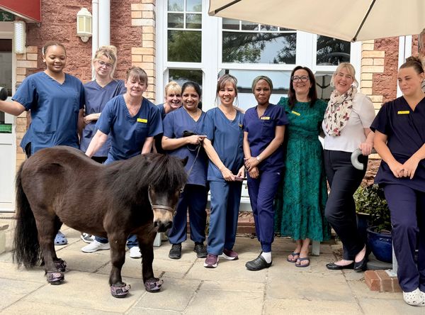 Community Pony CIC