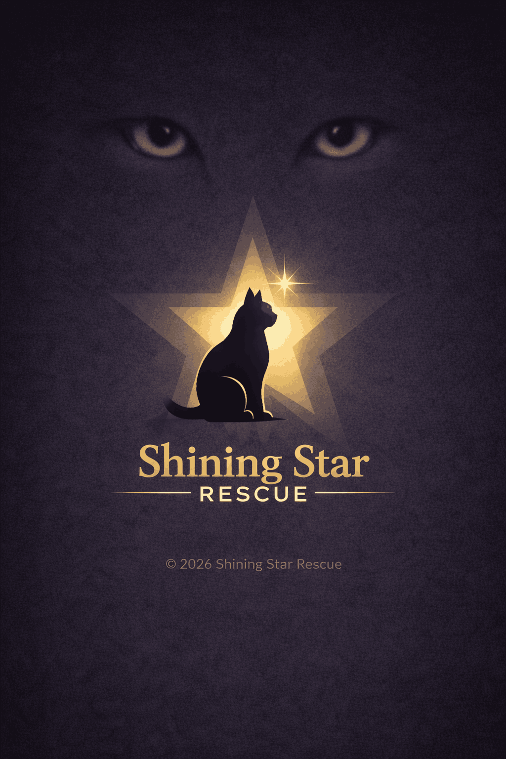 Shining Star Rescue