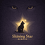Shining Star Rescue