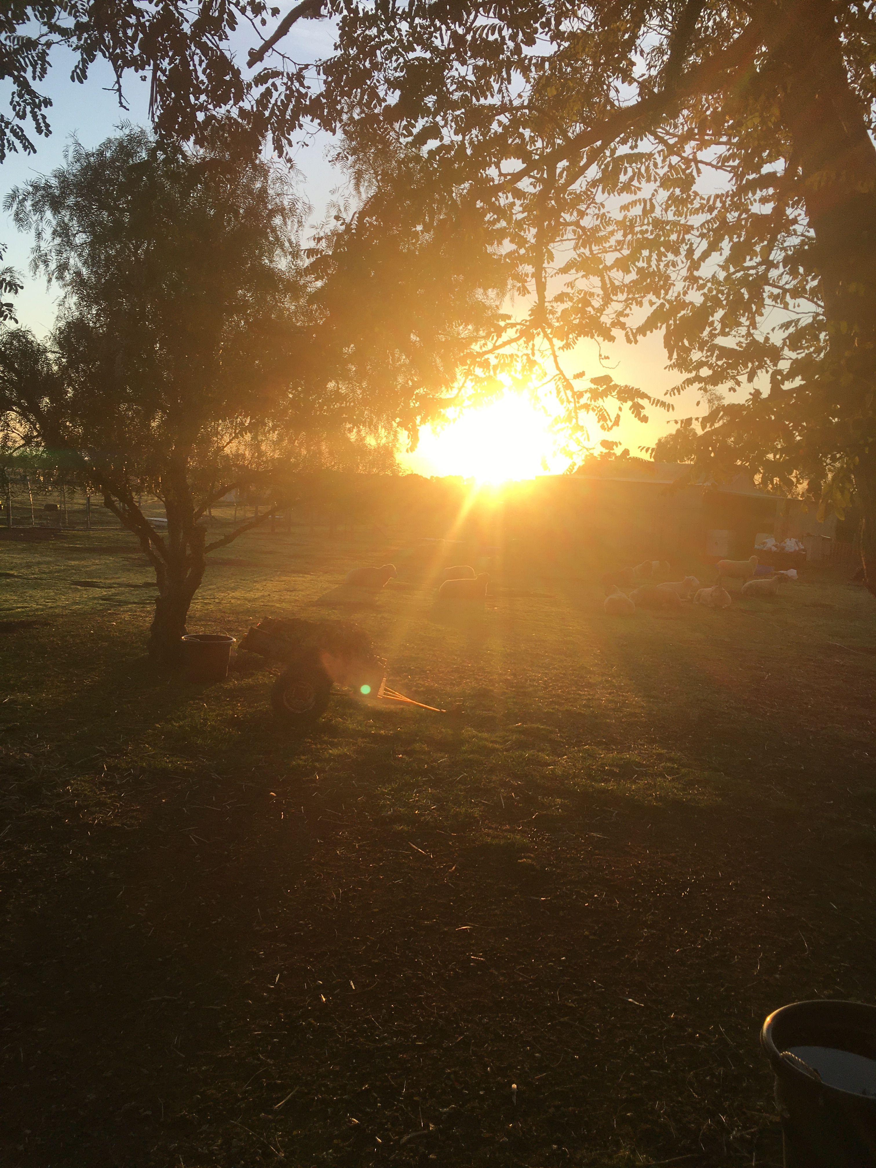 ELBETHEL FARM SANCTUARY INC