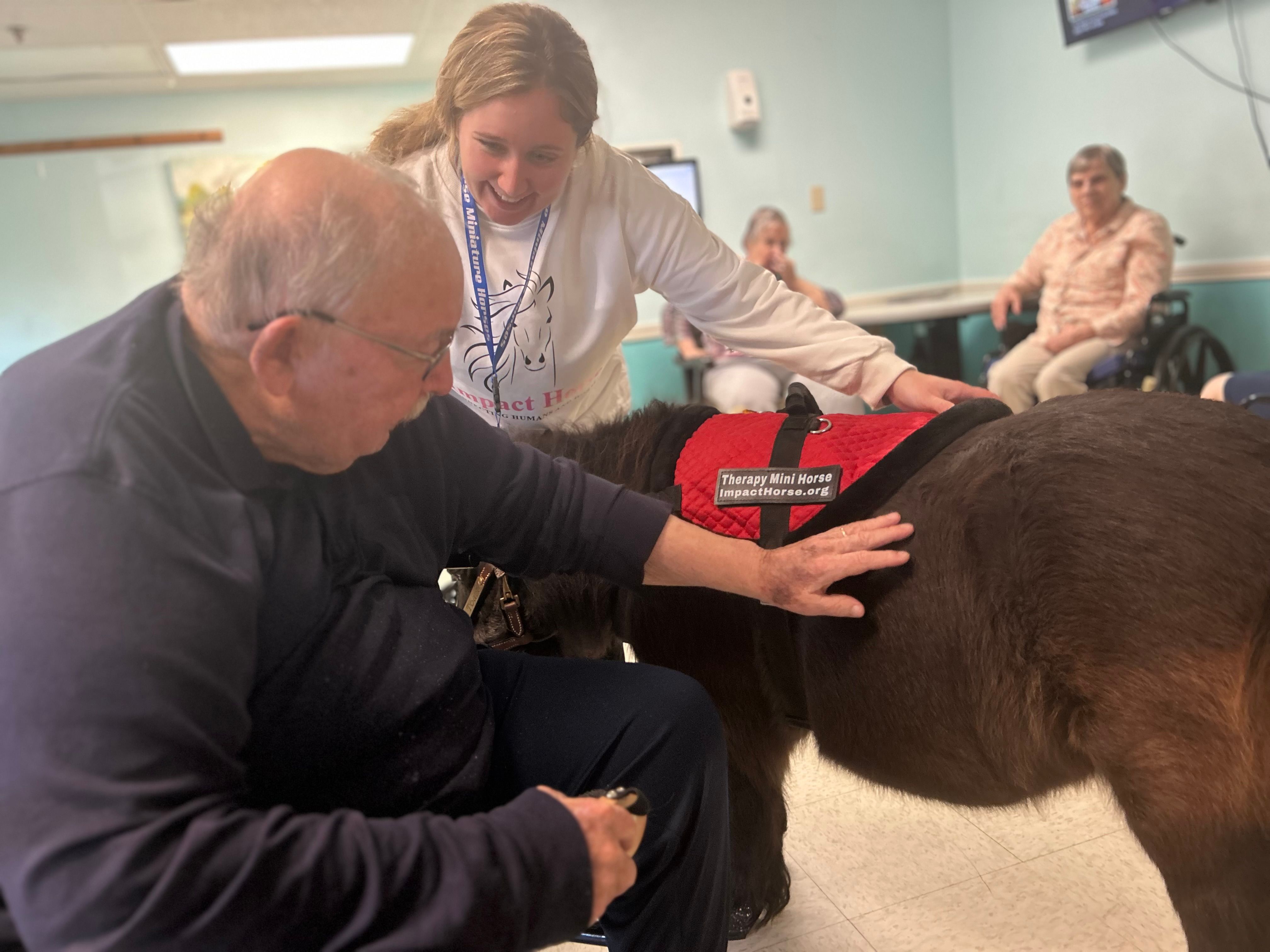 Impact Horse - Connecting Humans and Horses
