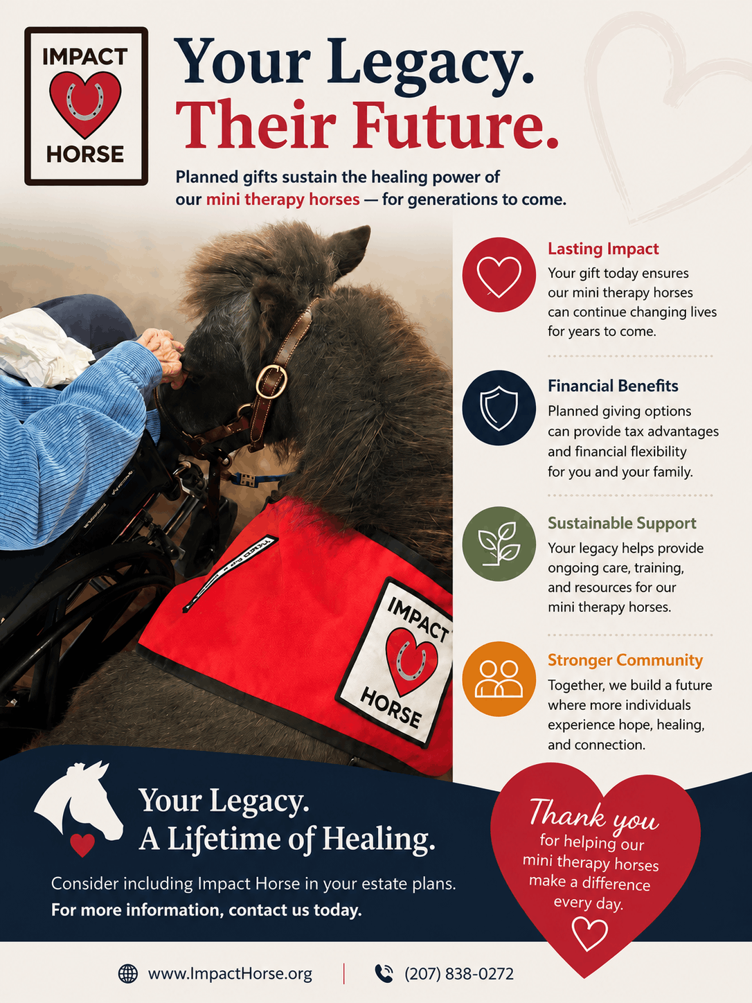 Impact Horse - Connecting Humans and Horses