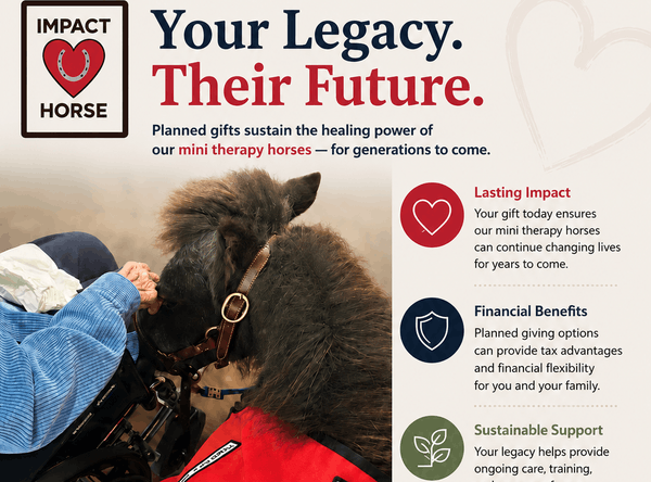 Impact Horse - Connecting Humans and Horses