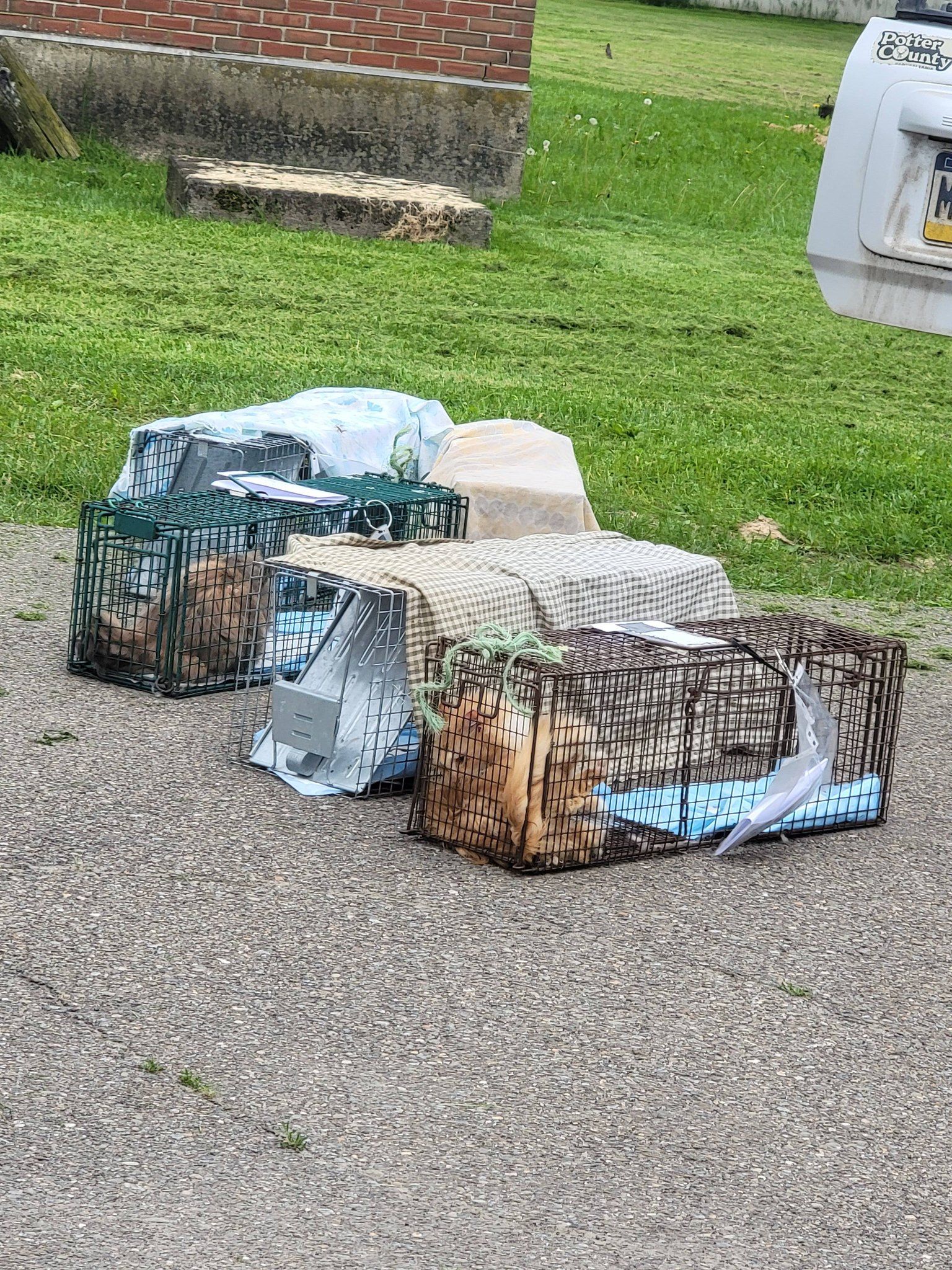 Potter County Animal Assistance Project