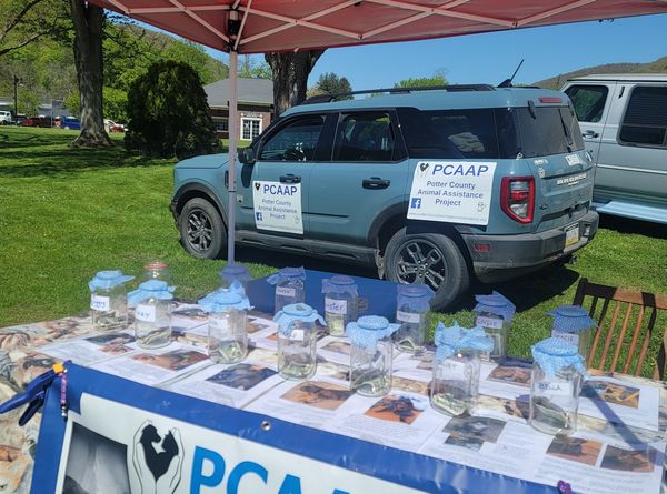 Potter County Animal Assistance Project