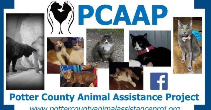 Potter County Animal Assistance Project