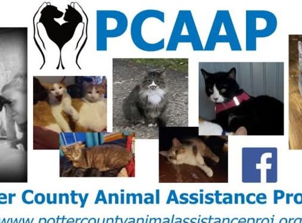 Potter County Animal Assistance Project