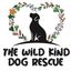 The Wild Kind Dog Rescue