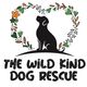 The Wild Kind Dog Rescue