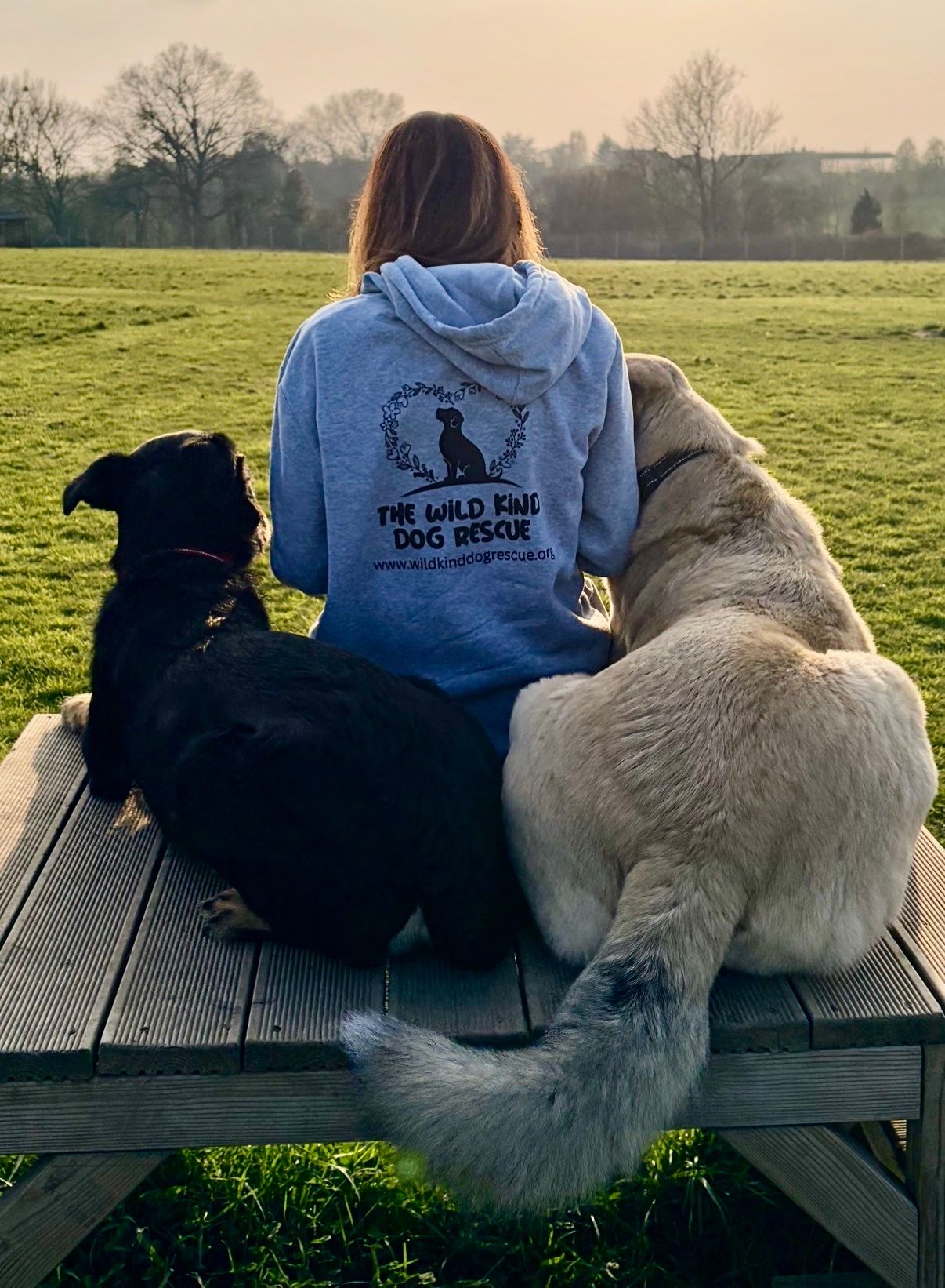 The Wild Kind Dog Rescue