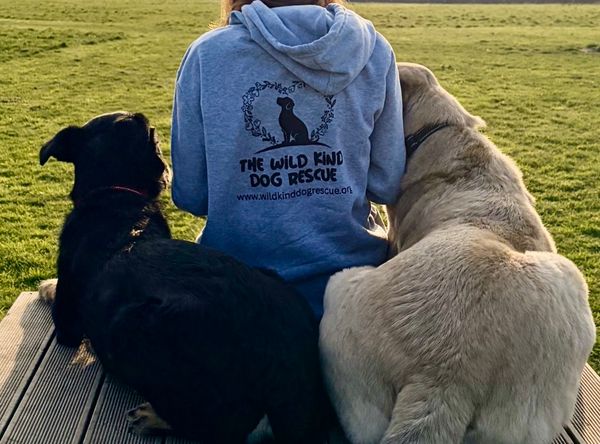 The Wild Kind Dog Rescue