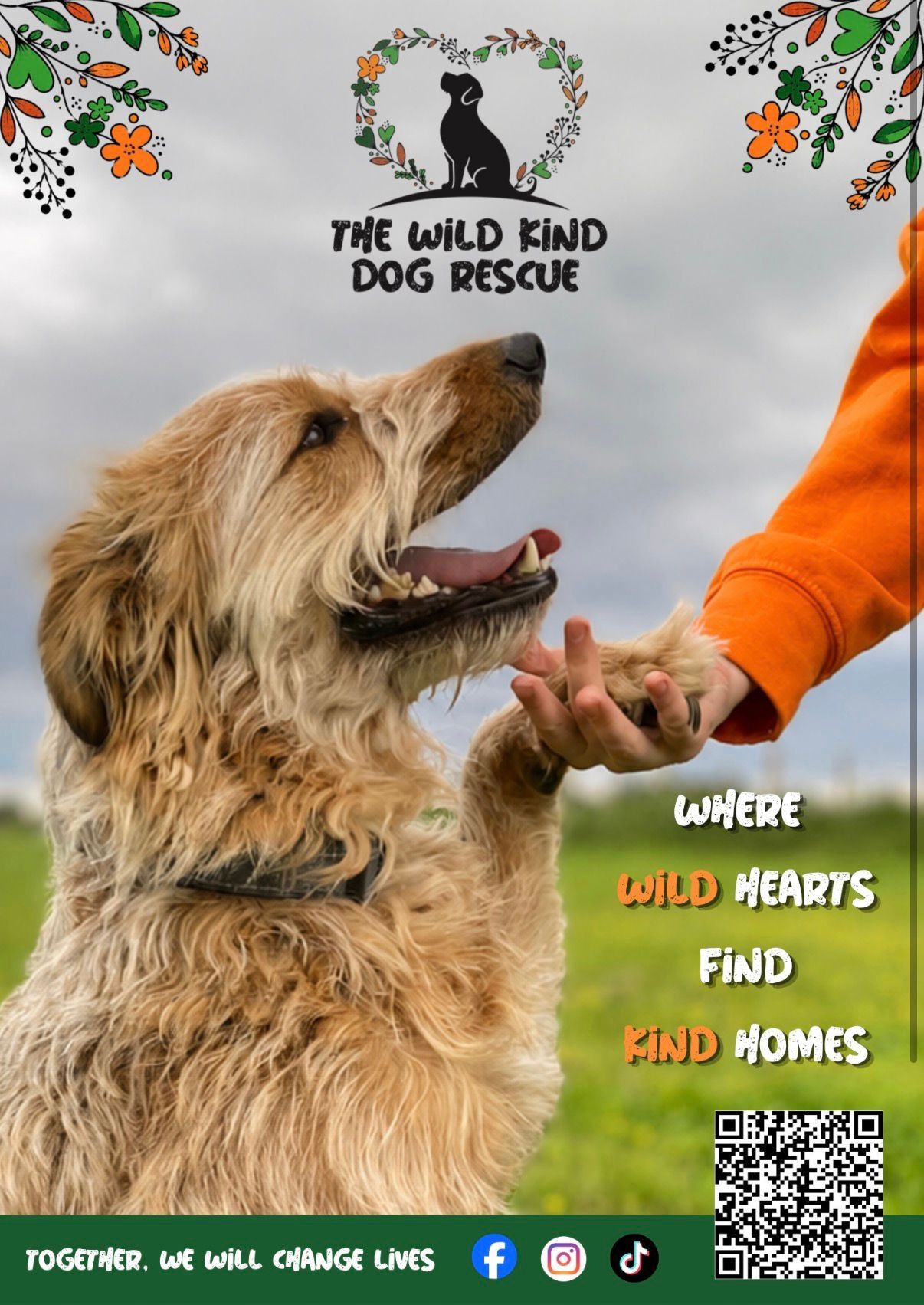 The Wild Kind Dog Rescue