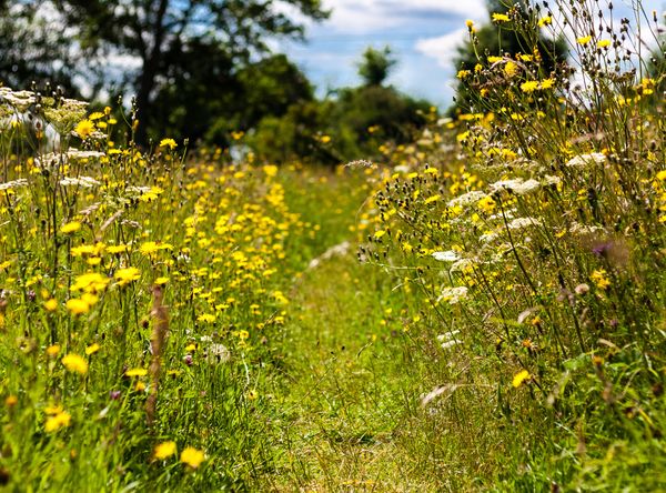Worcestershire Wildlife Trust