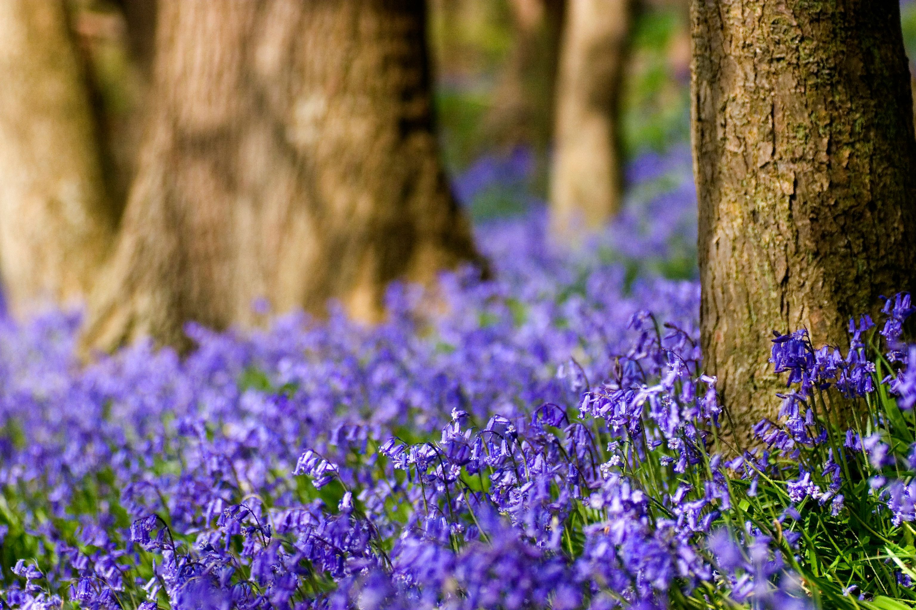 Worcestershire Wildlife Trust