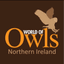 World of owls