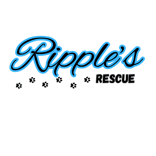Ripples Rescue
