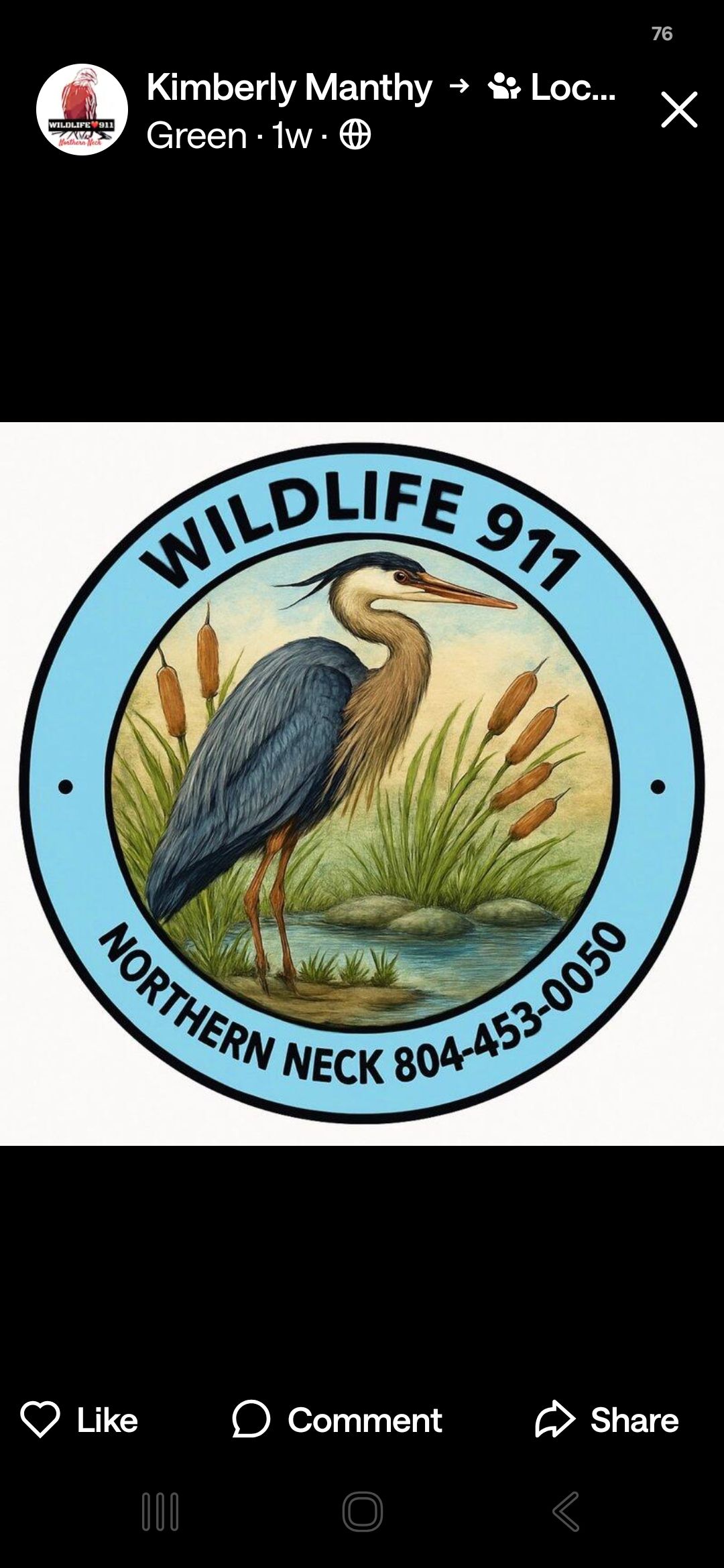 Wildlife 911 Northern Neck
