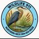 Wildlife 911 Northern Neck