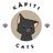 Kapiti Cats - Found Minx