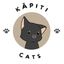 Kapiti Cats - Found Minx