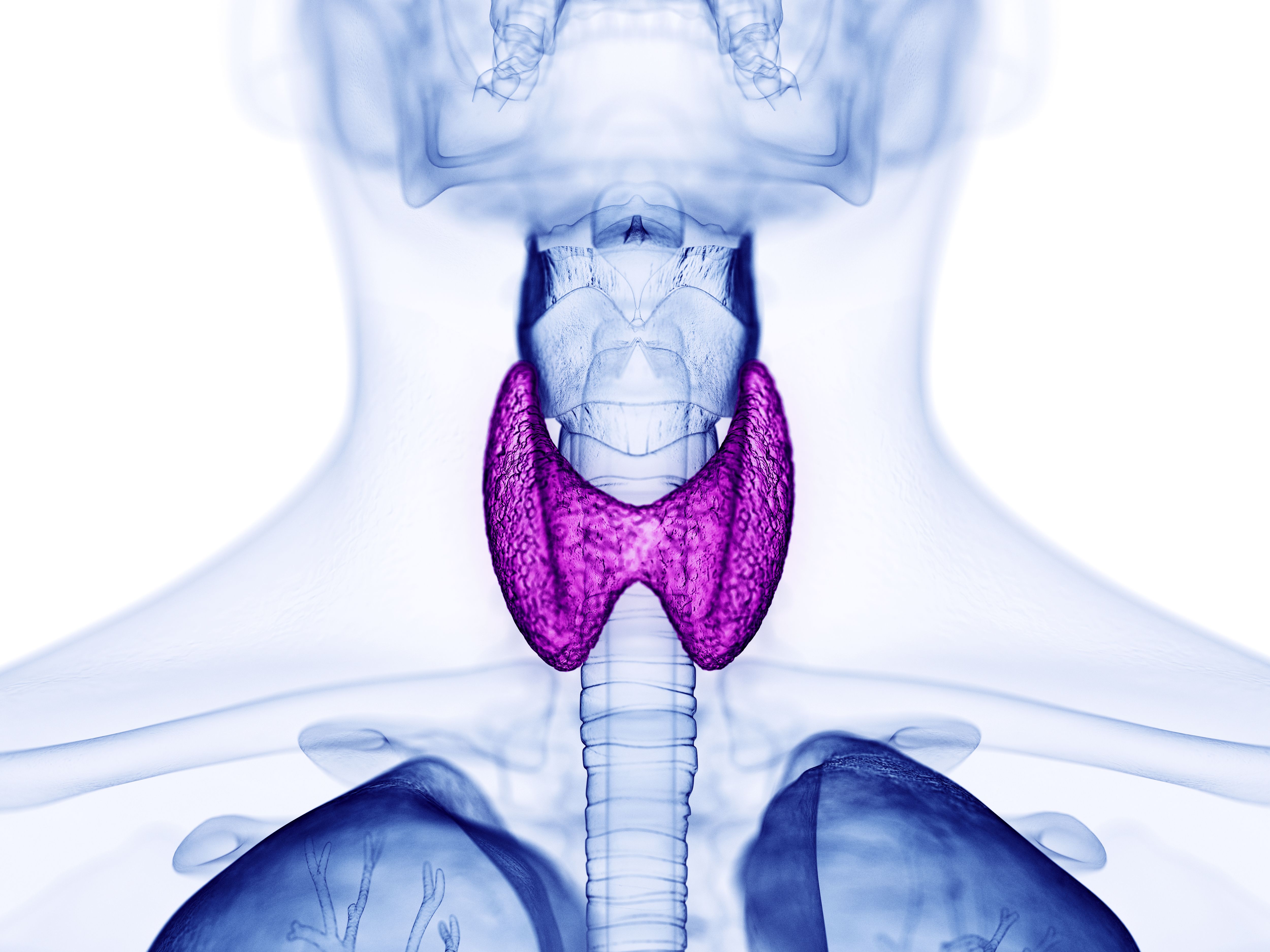 Thyroid UK