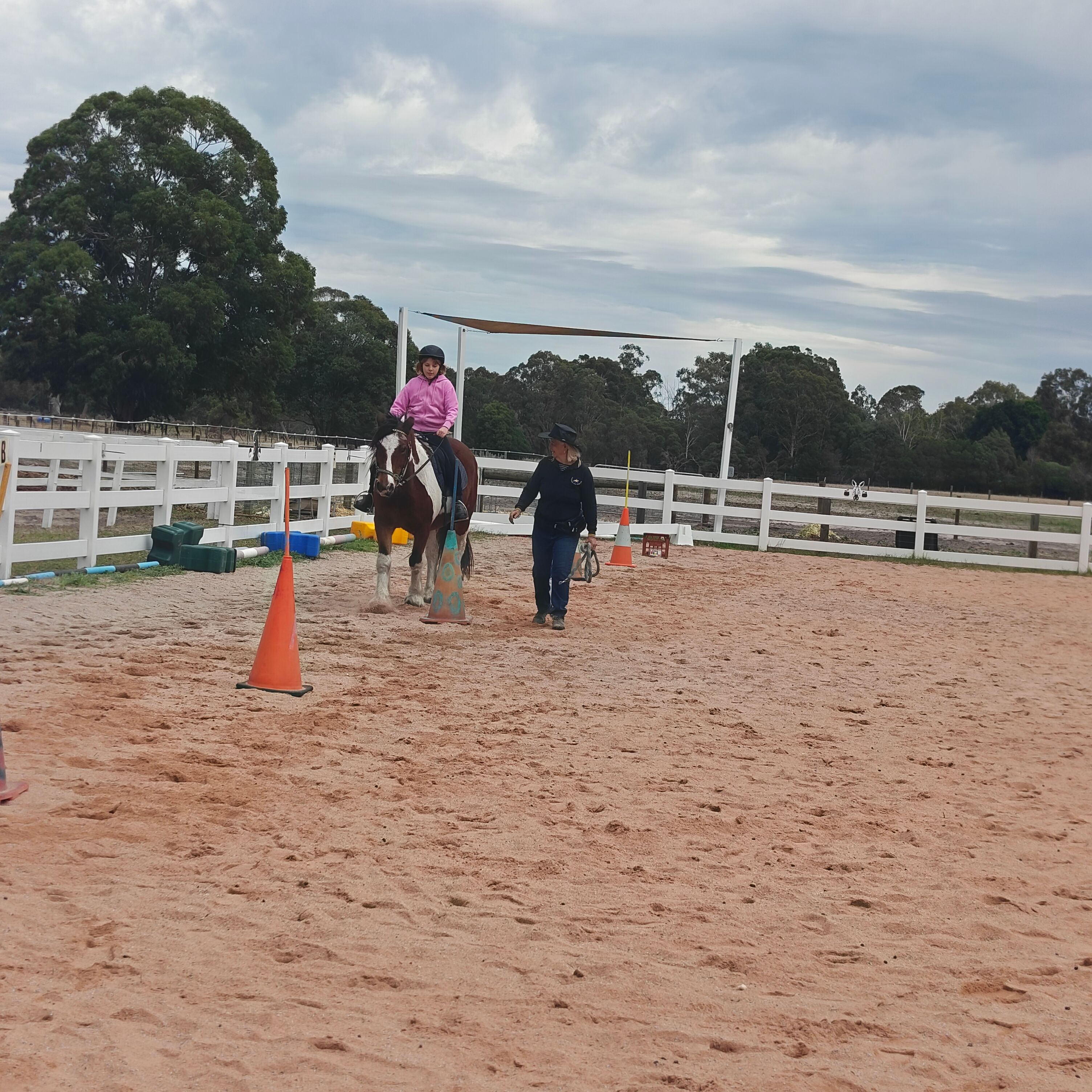 Riding for the Disabled BrookValley Farm