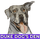 Duke Dog's Den