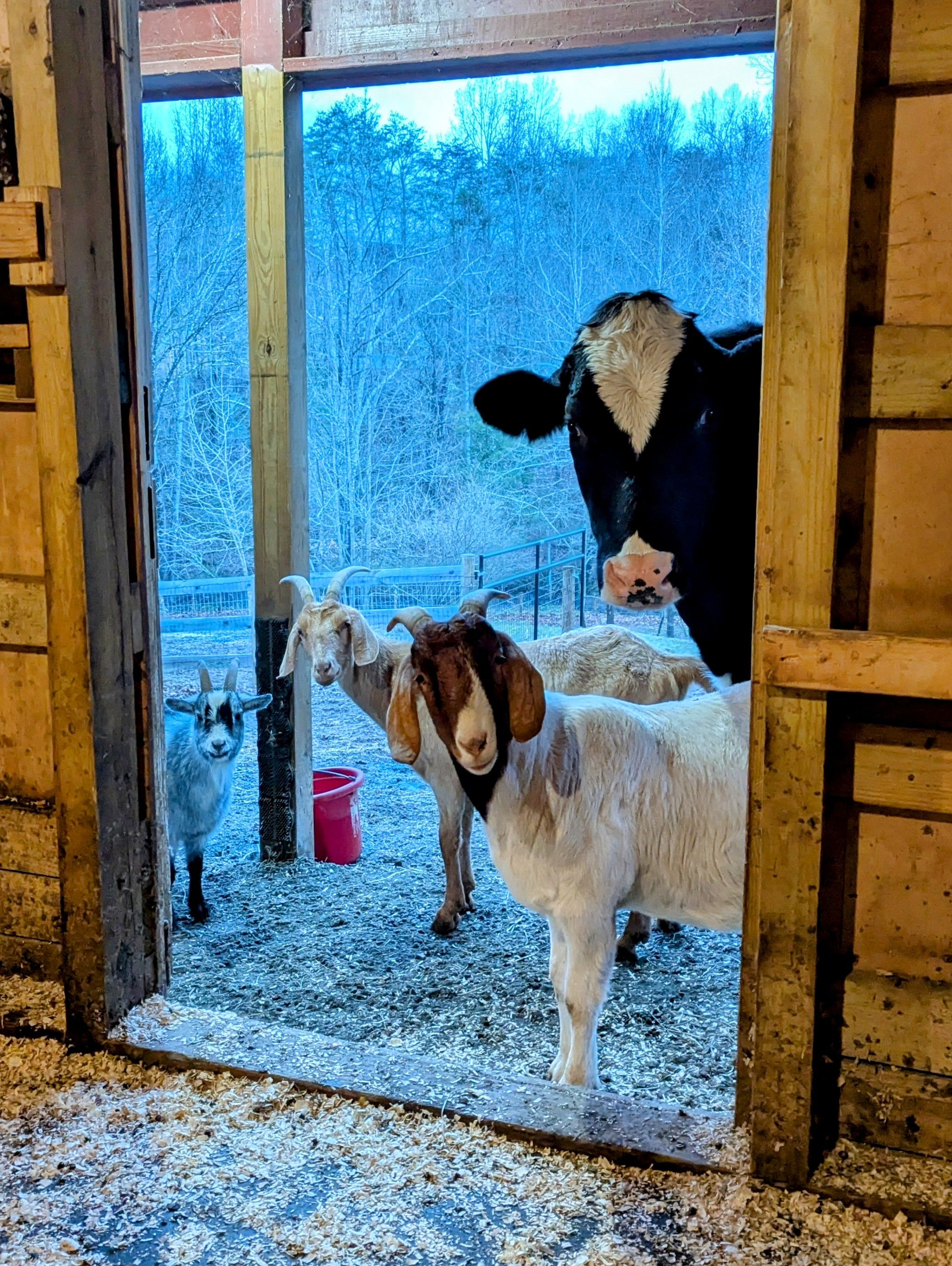 Fauna Haven Animal Sanctuary