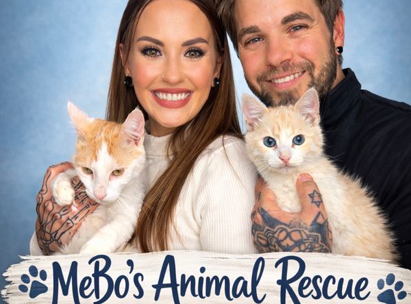 MeBos Animal Rescue