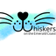 Whiskers on the Emerald Coast