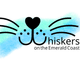 Whiskers on the Emerald Coast