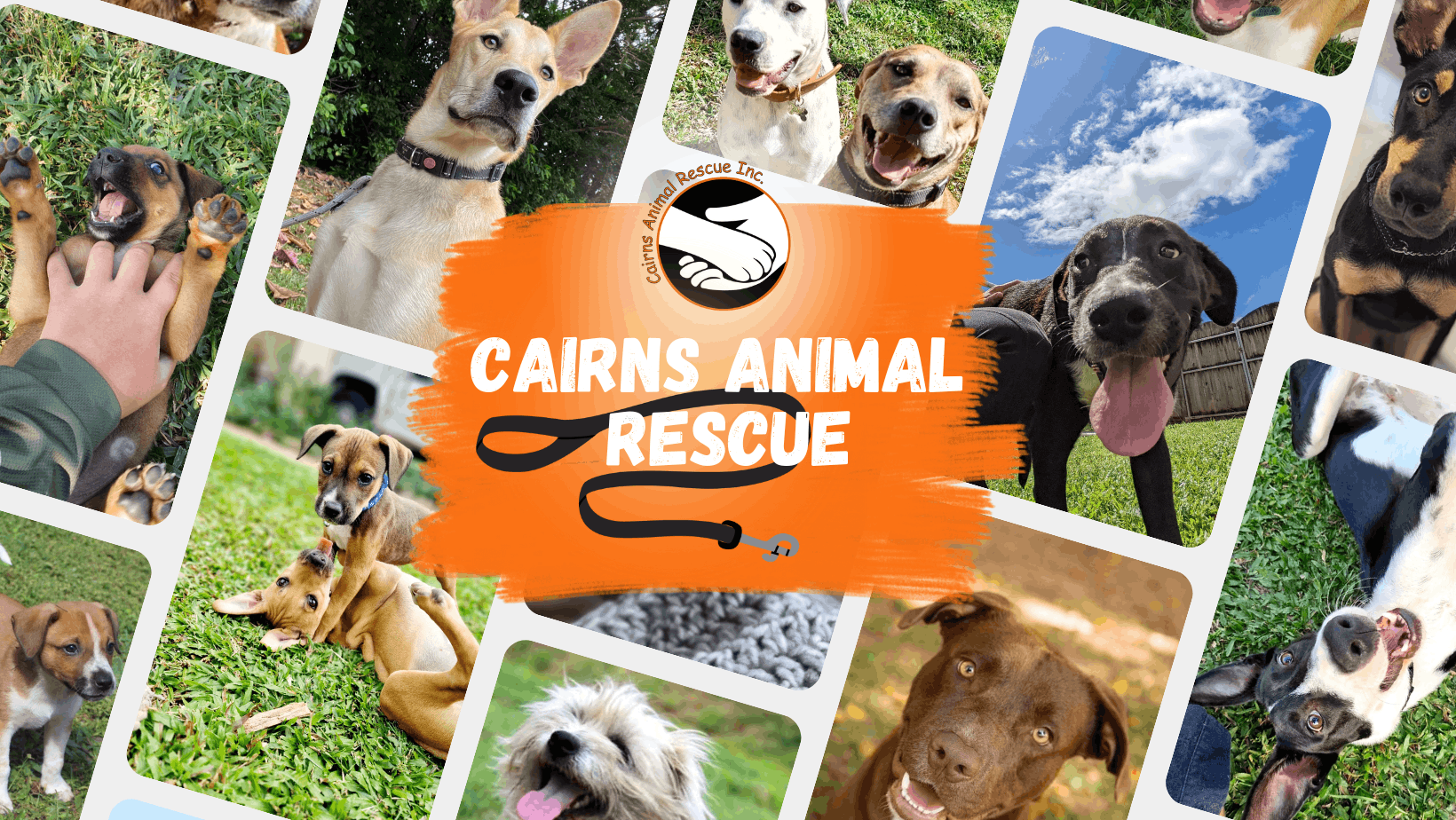 Cairns Animal Rescue Inc