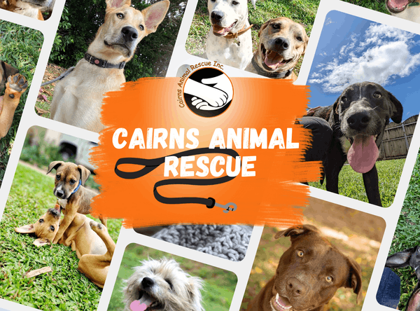 Cairns Animal Rescue Inc