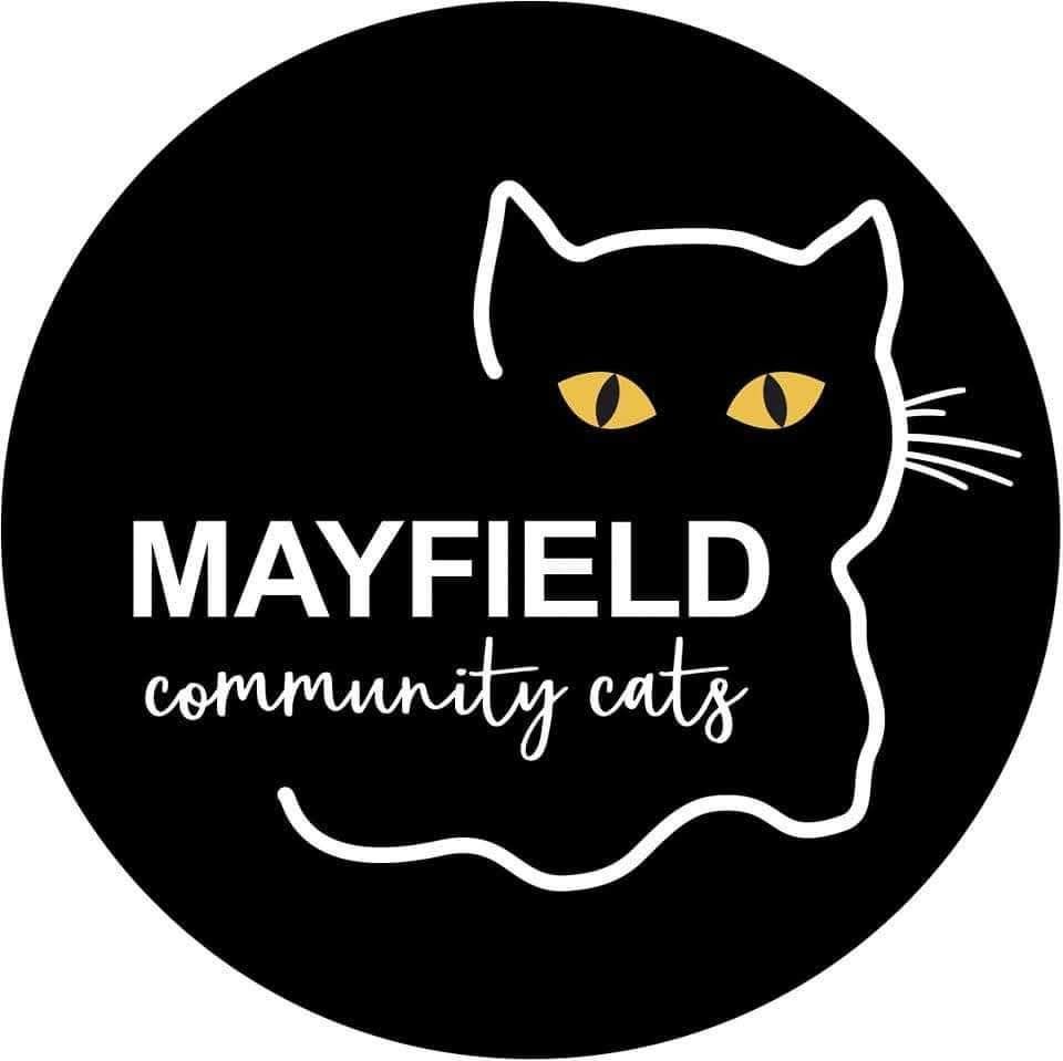 Mayfield Community Cats