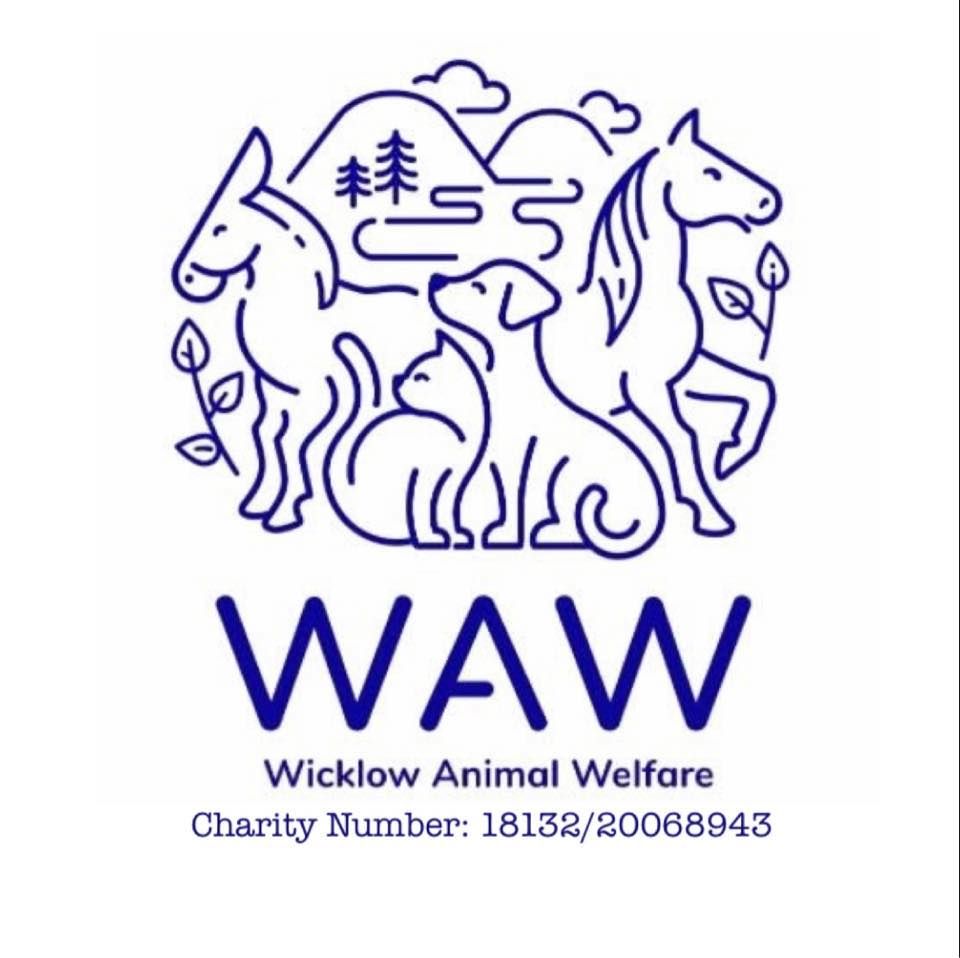 Wicklow animal welfare
