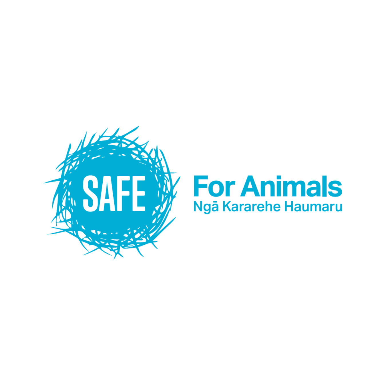 SAFE New Zealand
