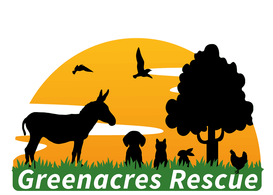 Greenacres rescue
