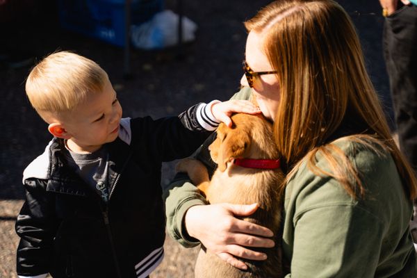 Crossroads Animal Shelter and Community Veterinary Clinic