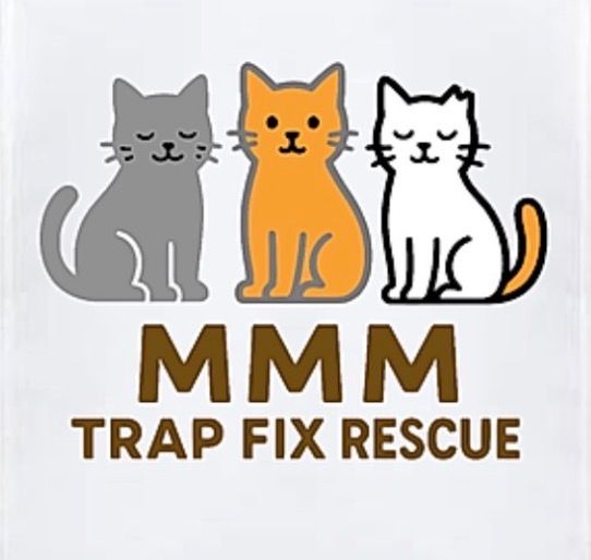 MMM Trap Fix and Rescue Cats