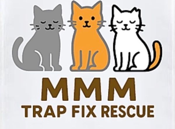 MMM Trap Fix and Rescue Cats