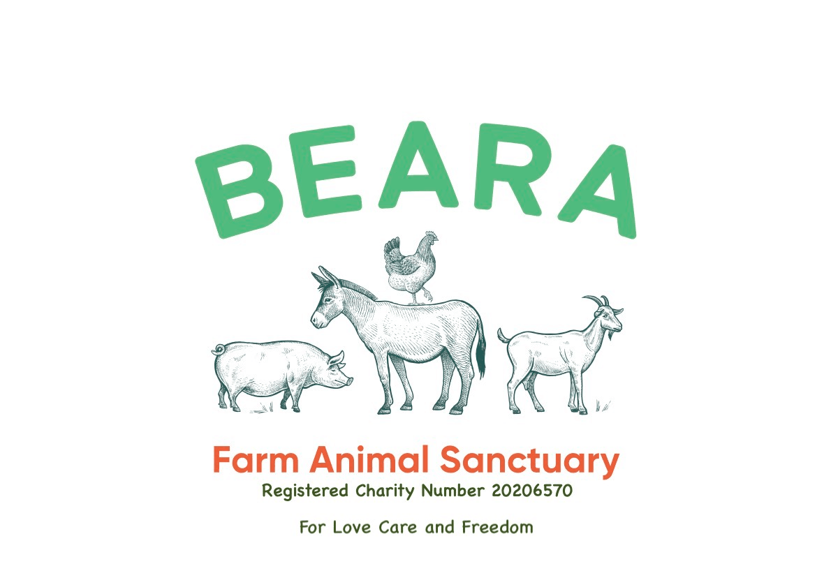 Beara Farm Animal Sanctuary