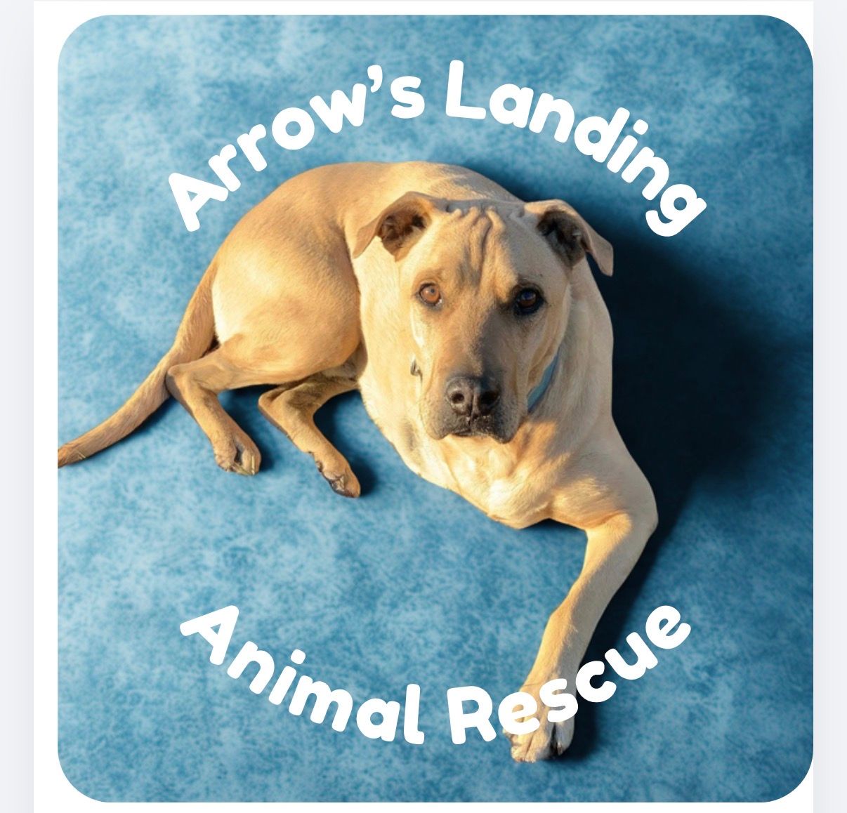 Arrow's Landing Animal Rescue