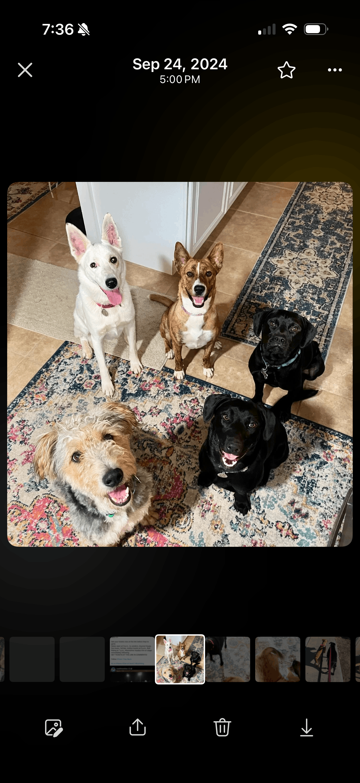 Arrow's Landing Animal Rescue