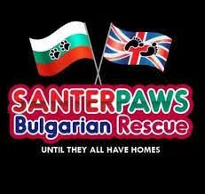 Santapawsbulgarianrescue