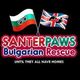 Santapawsbulgarianrescue
