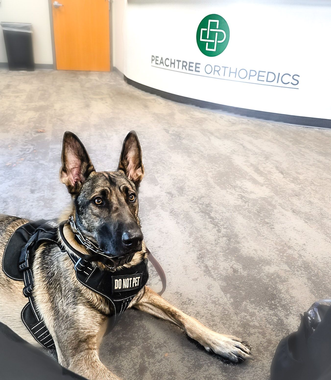 Heroes Haven Service Dogs