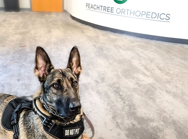 Heroes Haven Service Dogs
