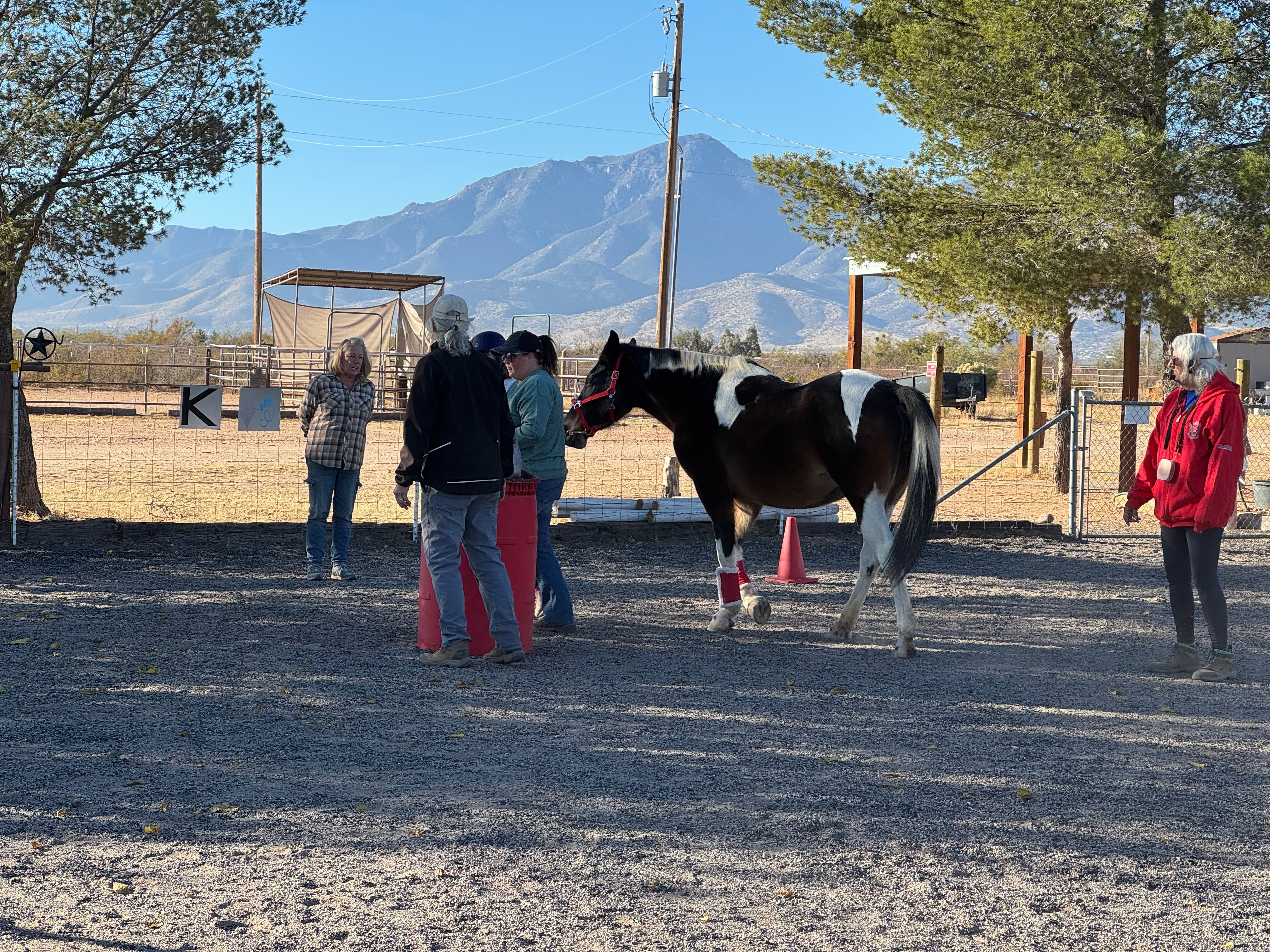 CANTER - Cochise Area Network of Therapeutic Equestrian Resources