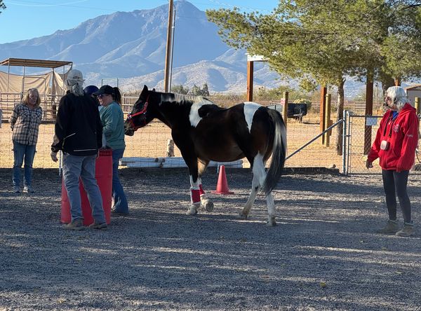 CANTER - Cochise Area Network of Therapeutic Equestrian Resources