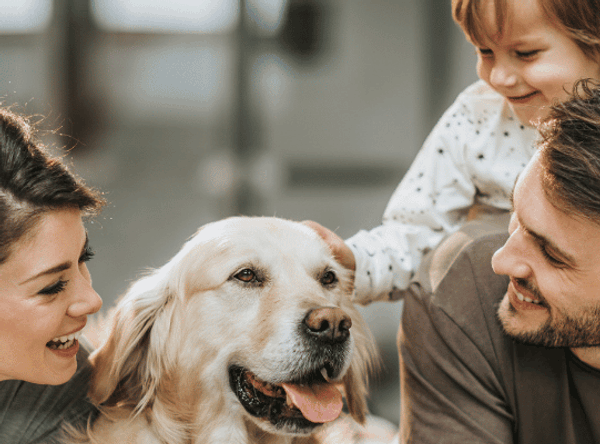 Hope Paws Support Fund